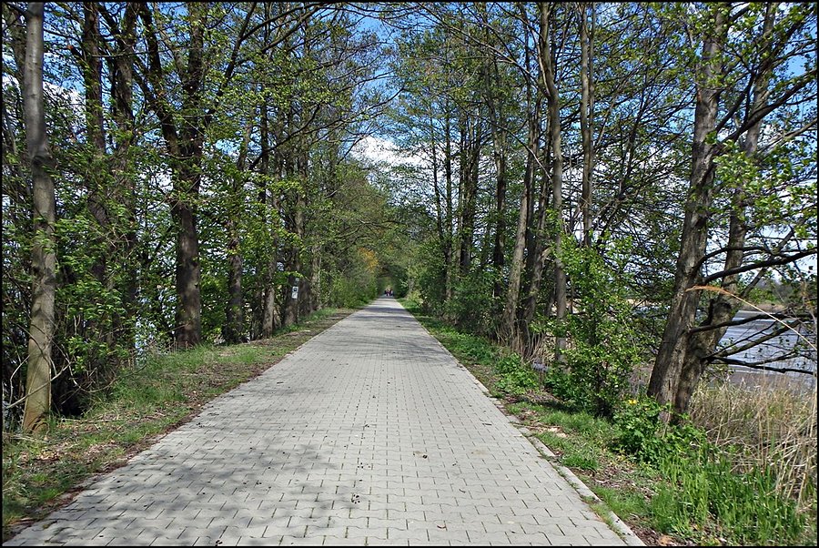 Park w Krośnicach d2