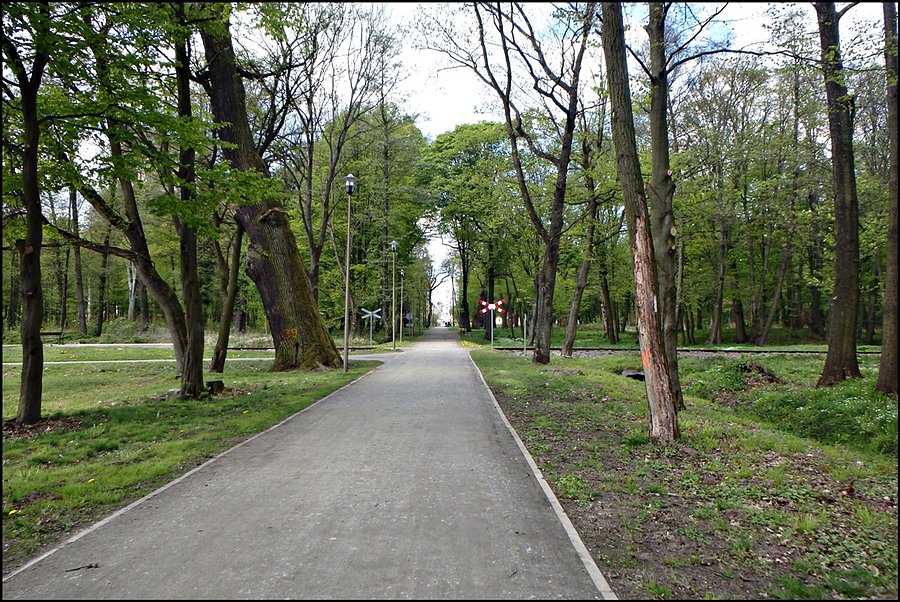 Park w Krośnicach d2