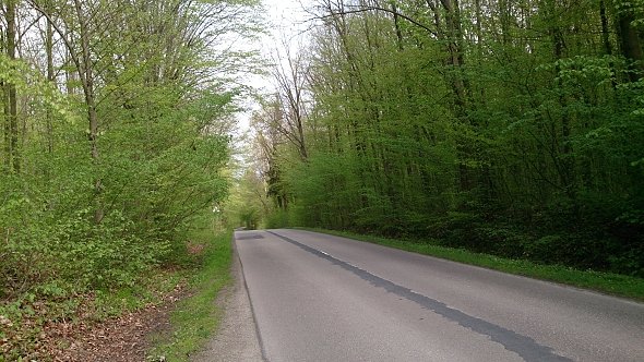 Krzczonowski Park Krajobrazowy