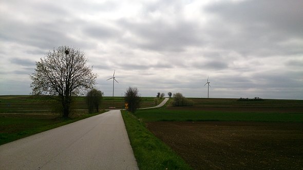 Wiatraki koło Żółkiewki