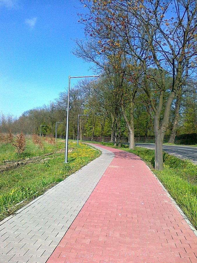 Słoneczny poranek