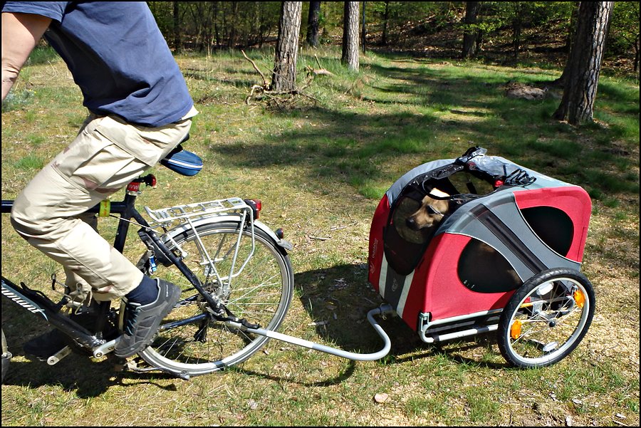 Rowerowa przyczepka dla psa DoggyRide Novel