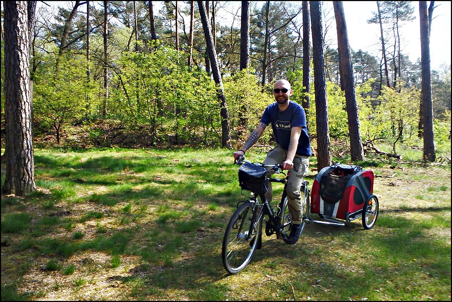 Rowerowa przyczepka dla psa DoggyRide Novel