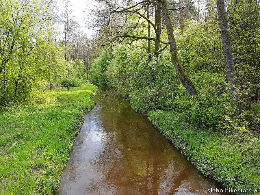 Końska Struga pod Częstkowem