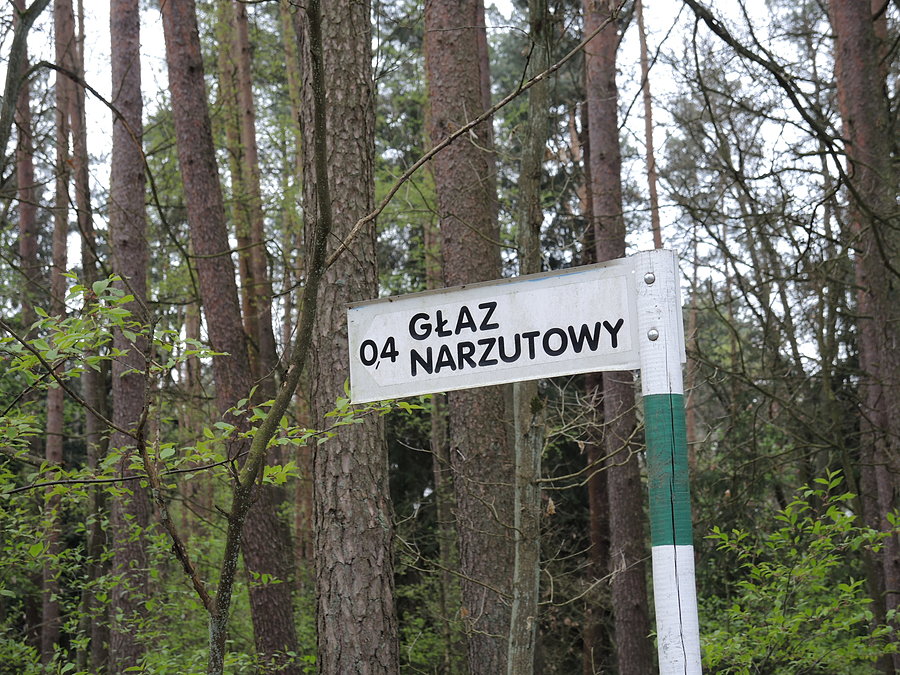 Kierunek głaz narzutowy