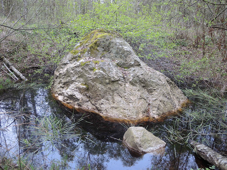 Pomnik przyrody - głaz narzutowy KWIRYN