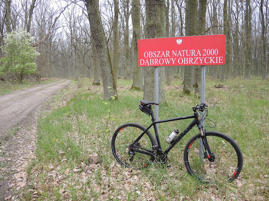 Obszar Natura 2000 - Dąbrowy Obrzyckie