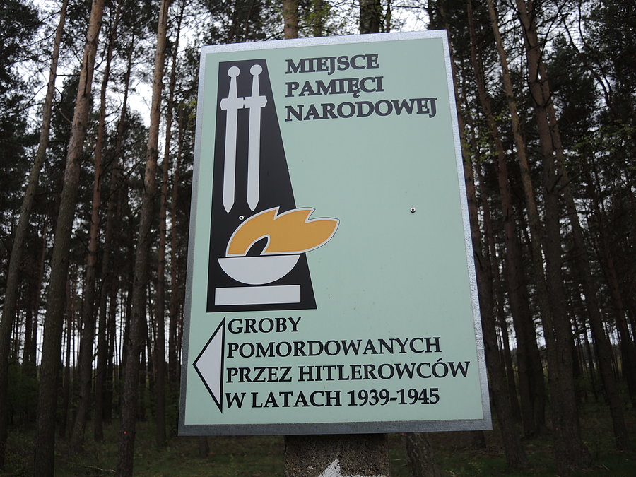 Kierunek groby w okolicy Jaryszewa