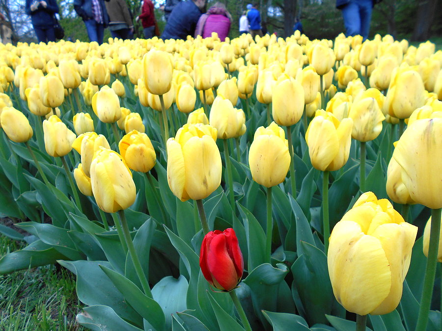 Łódź Ogród Botaniczny