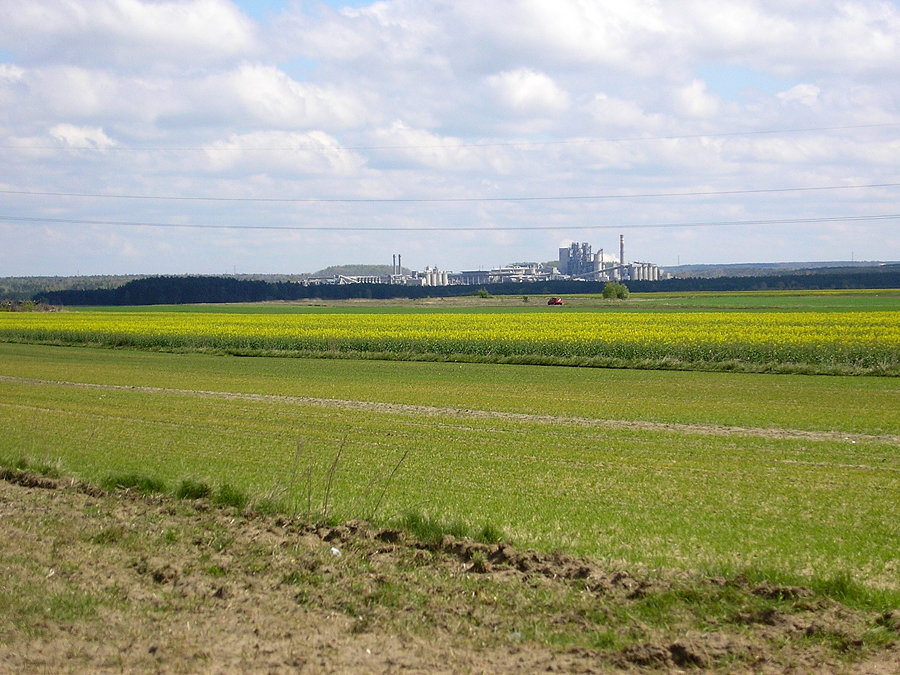 Rzepaczek :)