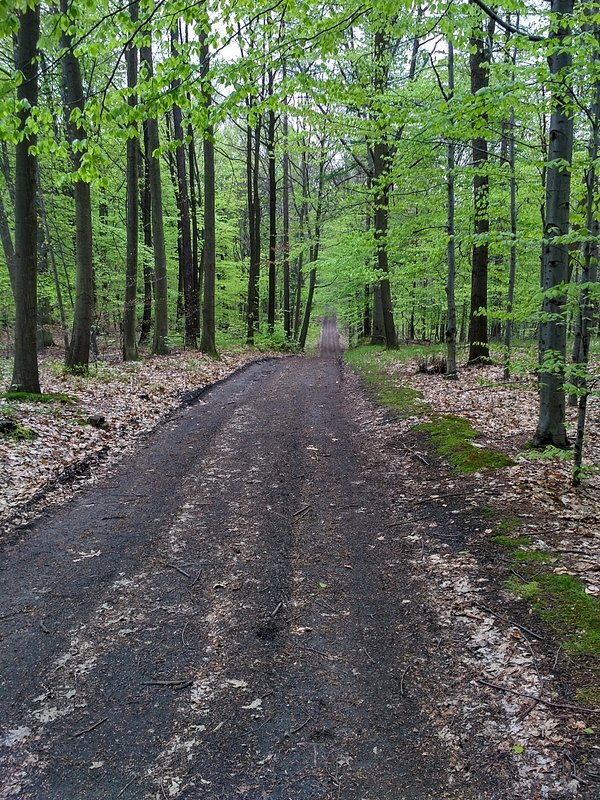 Stamtąd przyszedłem