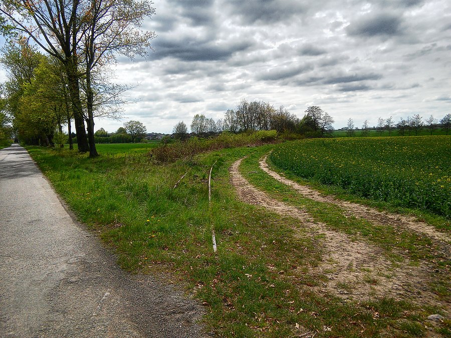 Kolejne pozostałości torów kolejki wąskotorowej tym razem za Krzywnicą