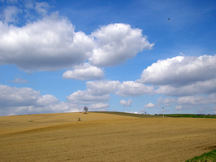 Słowacja