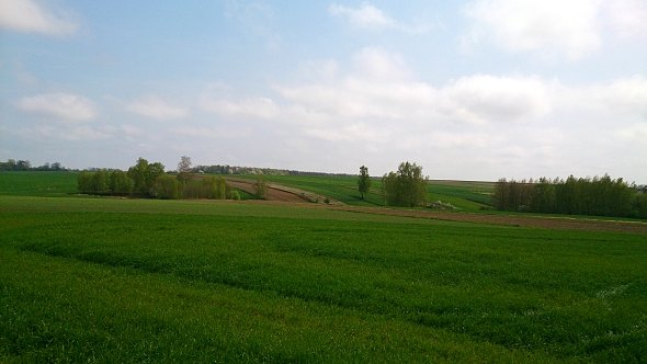 Pola w Bychawce