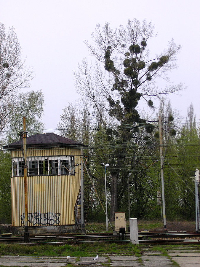 Oświęcim