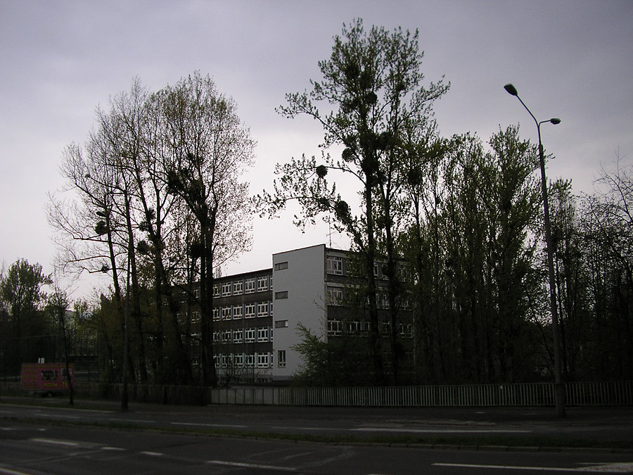 Jemioła