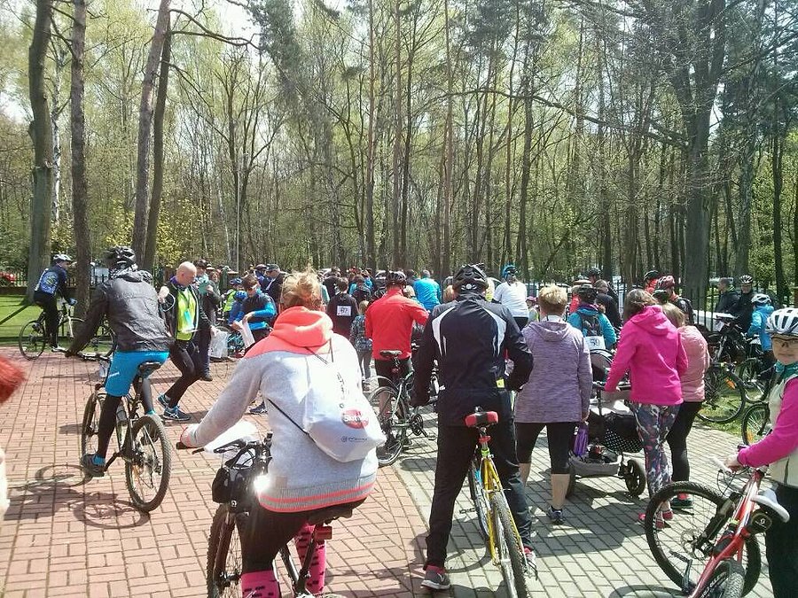 Start Dębowego Włóczykija