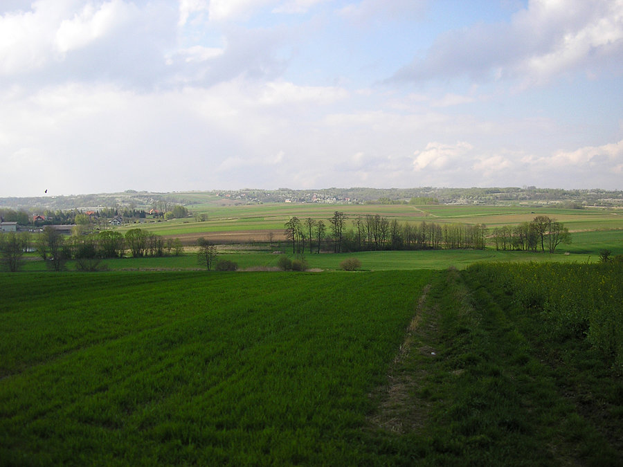 Widoczek z trasy