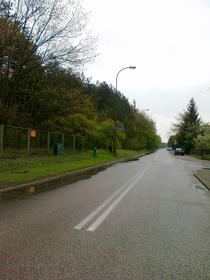 Mokra ta wiosna
