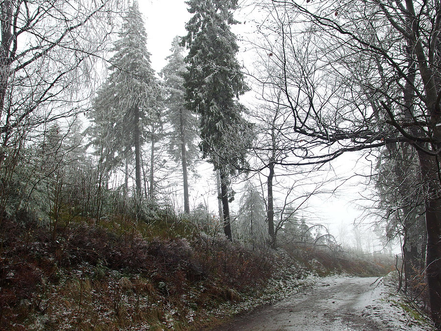 Temperatura jest dodatnia, wszystko topnieje