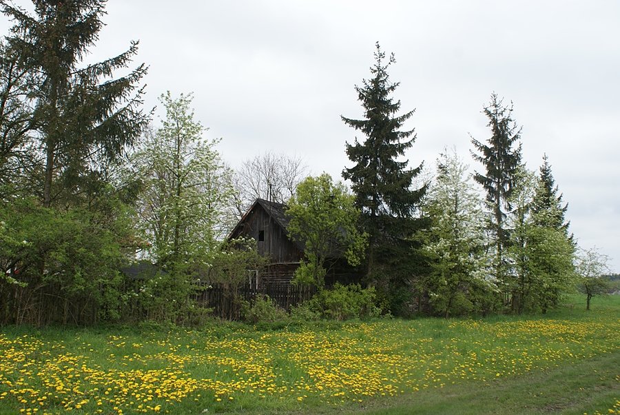 Piękny widok