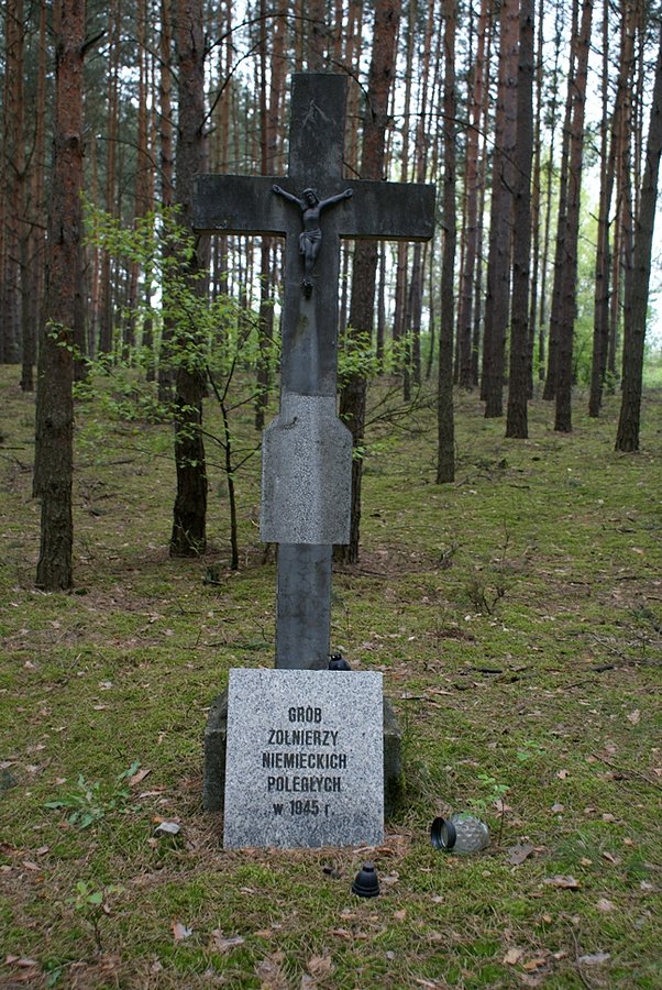 W lesie koło Wolborza