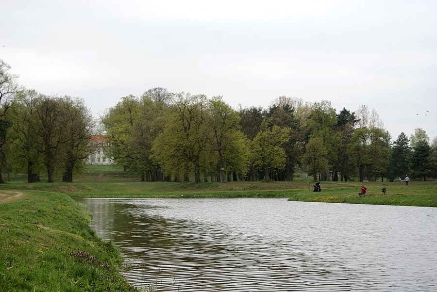 Pałac wolborski