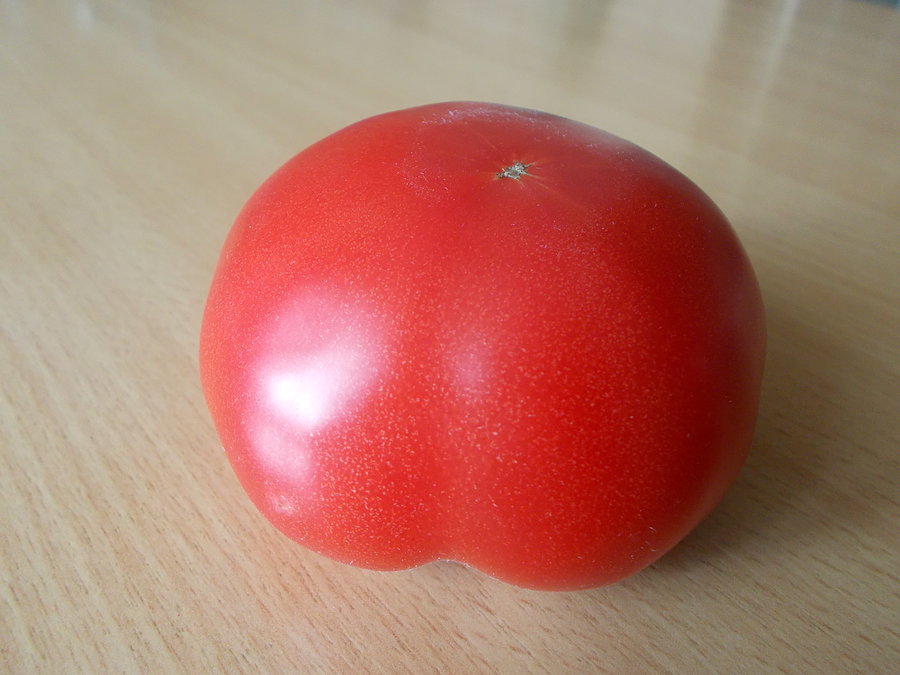 Pomidor