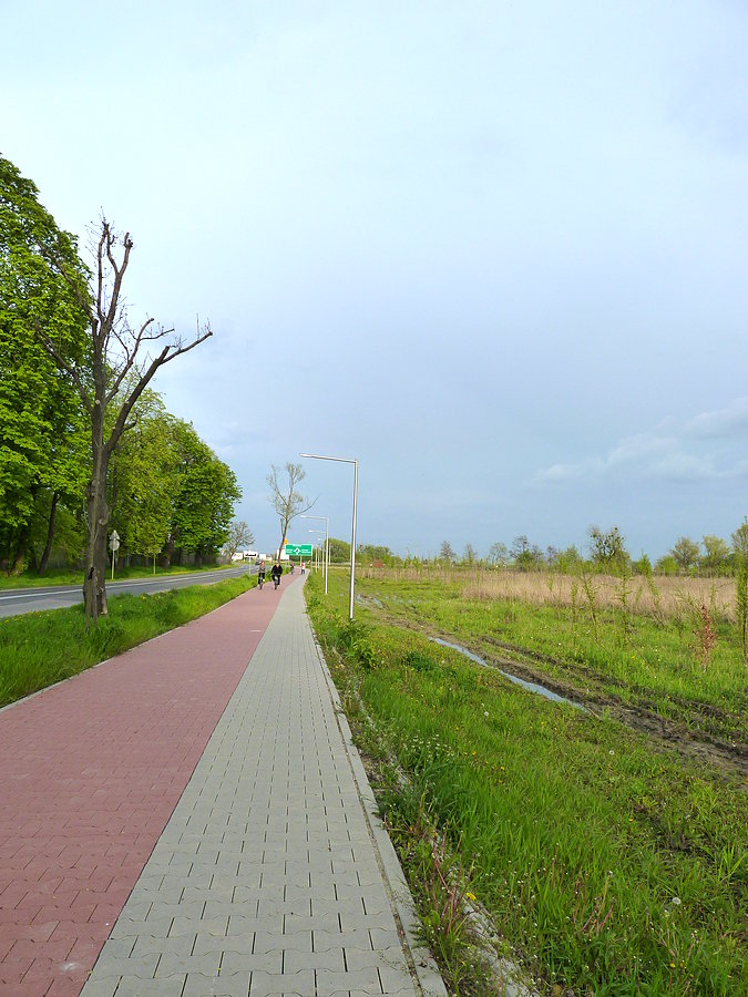 Ścieżka - Strzykuły - Kaputy