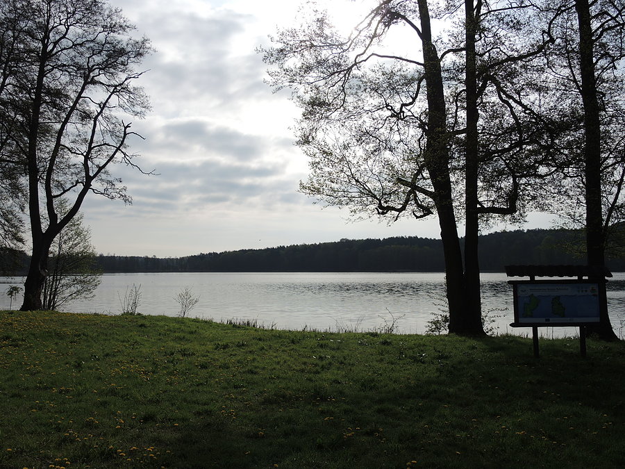 Jezioro Dzierżązno