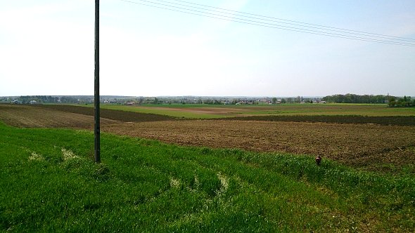 Pola koło Piask