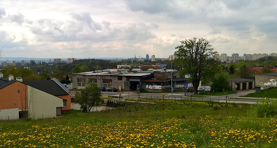 Kolejny widok na panoramę Szczecina, widok ze wzgórz warszewskich