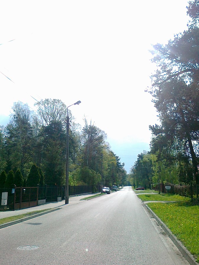 A potem wyszło słońce