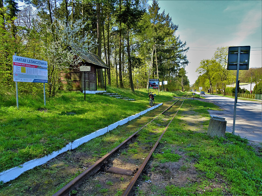 Wycieczka rowerowa nad morze - Jantar. W drodze nad morze