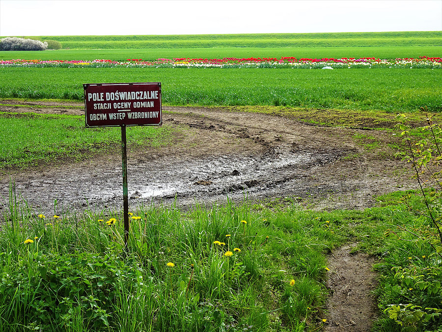 Wycieczka rowerowa nad morze - Jantar. W drodze powrotnej do domu