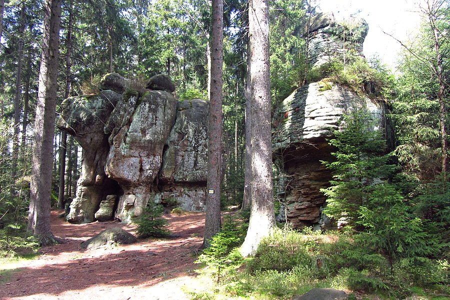 Skalne grzyby V