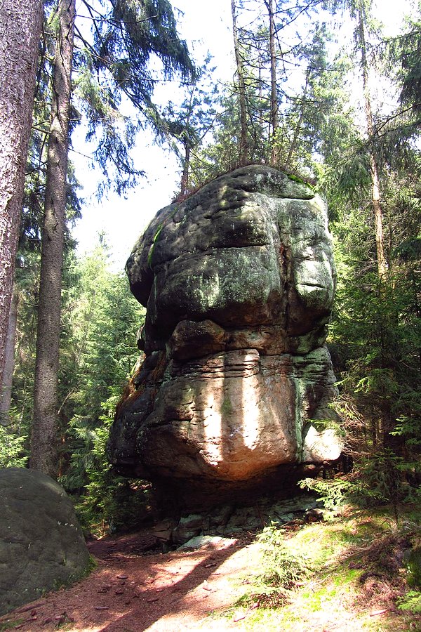 Skalne grzyby IV