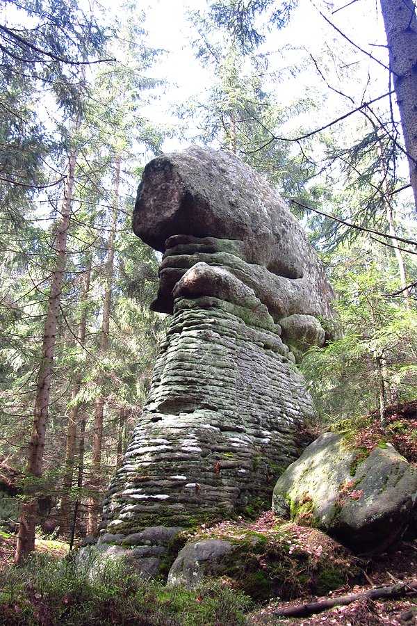 Skalne grzyby II