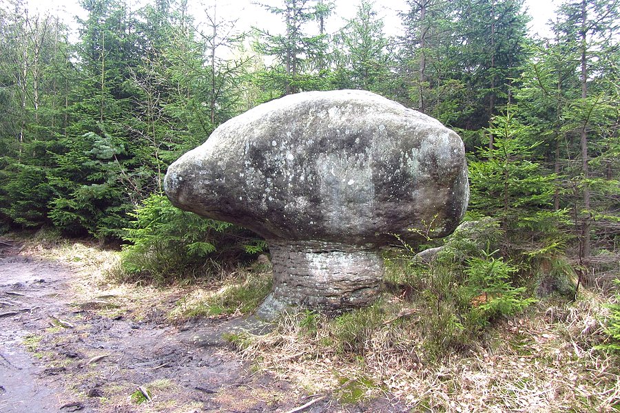 Skalne grzyby I