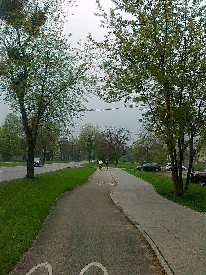 Przed mną dwaj panowie na rowerach, żeby nie było, ze tylko ja jestem szurnięta:)