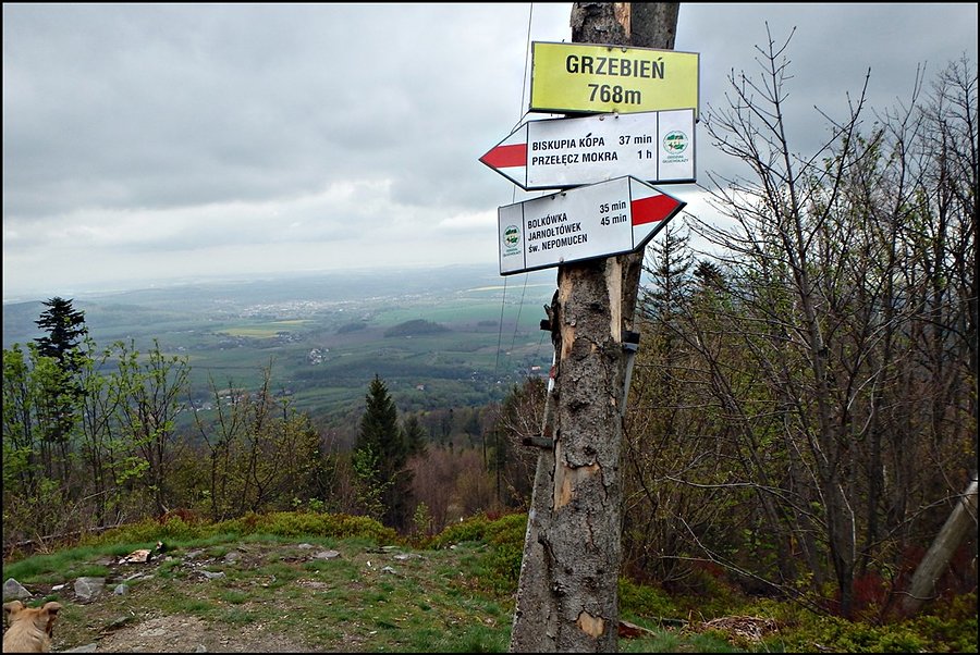 Główny Szlak Sudecki im. Orłowicza