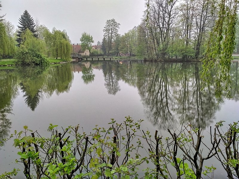 Staw w centrum miasta