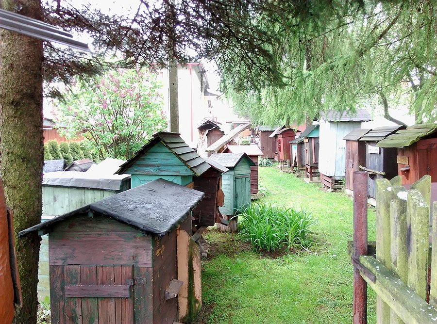 W Skansenie pszczelarstwa - Grojec