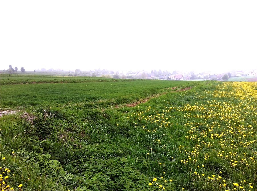 Panorama na wieś Wieprz koło Andrychowa