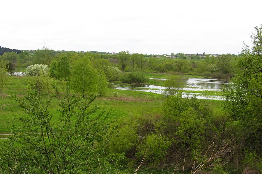Rozlana Warta