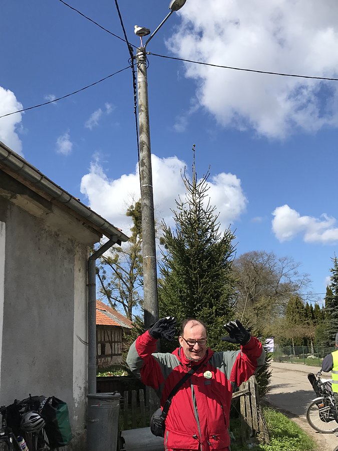 Tańczący z bocianami