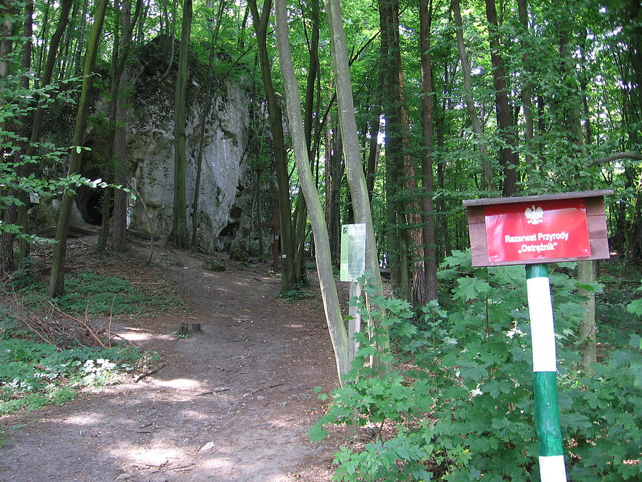 Ruiny zamku Ostrężnik