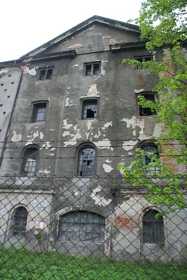 Ruiny w Czańcu Środkowym