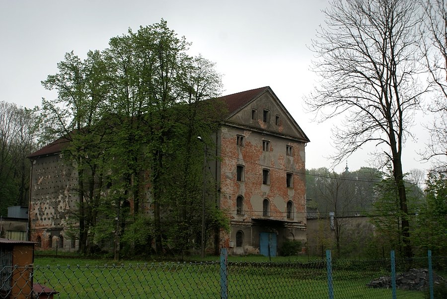 Ruiny w Czańcu Środkowym