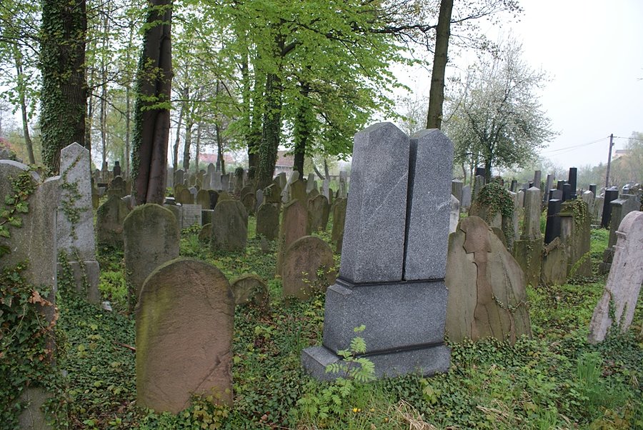 Na terenie kirkutu andrychowskiego